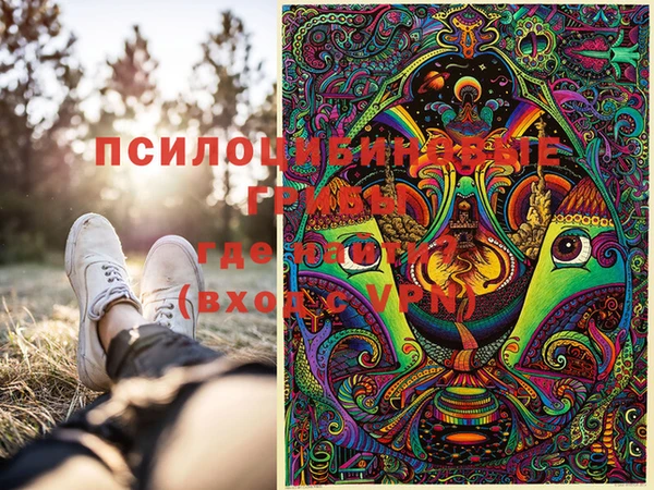 дмт Абаза