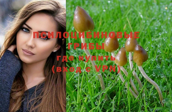 mix Абинск